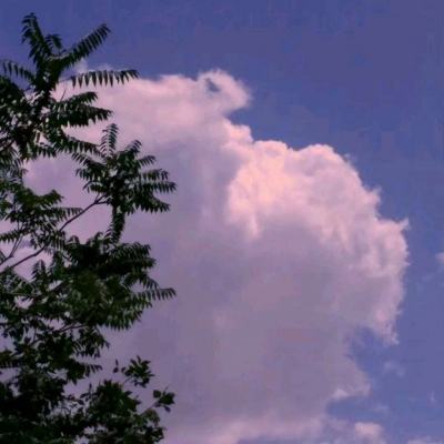 华为版魔法禁书目录下载